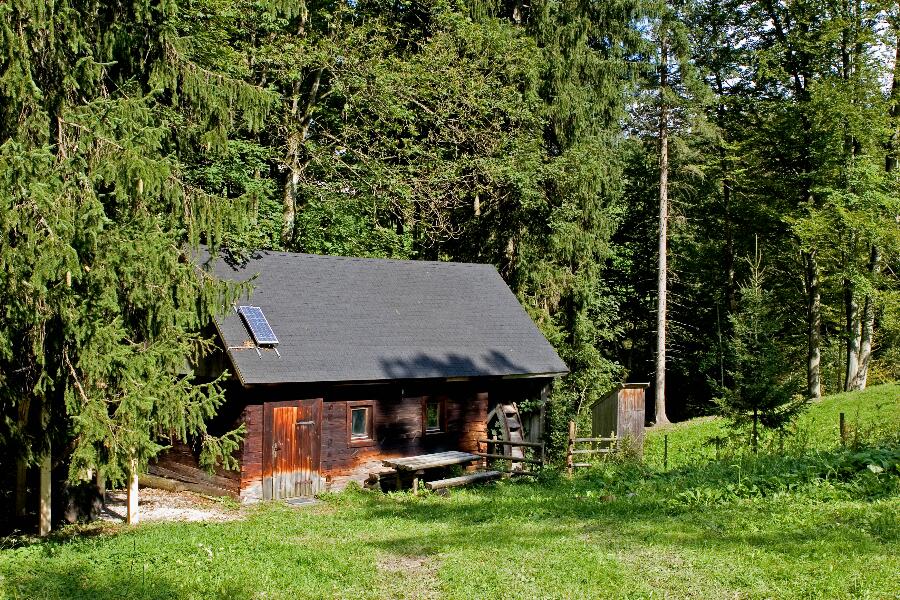 Foto 4/24 (nahe Hausstein bei Frankenfels, Pielachtal)